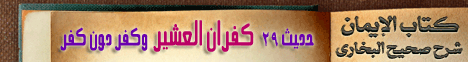 -كتاب الايمان -حديث 29-كفران العشيروكفر دون كفر ( 17/2/2009) -شرح البخارى  لـالشيخ وحيد عبدالسلام بالي - موقع الطريق إلى الله