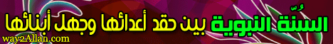 السنه النبويه بين احقاد اعدائها و جهل ابنائها(10-1-2010) قلب الليل لـالشيخ حسن ابو الاشبال - موقع الطريق إلى الله
