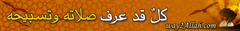 كلٌ قد عرف صلاته وتسبيحه (4/3/2010) اللؤلؤ والمرجان لـالشيخ أمين الأنصاري - موقع الطريق إلى الله