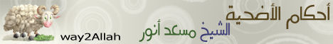 أحكام الأضحية لـالشيخ مسعد أنور - موقع الطريق إلى الله