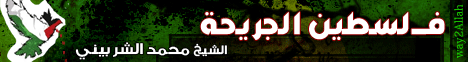 فلسطين الجريحة (17/2/2012) نضرة النعيم لـالشيخ محمد الشربينى - موقع الطريق إلى الله