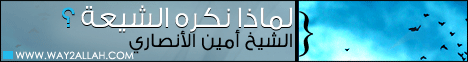 لماذا نكره الشيعة؟(25-4-2013)هذا خلق الله لـالشيخ أمين الأنصاري - موقع الطريق إلى الله