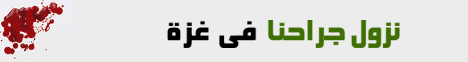 نزول الرحمة على جراحنا في غزة (28/12/2008)  لـفضيلة الشيخ محمد حسين يعقوب - موقع الطريق إلى الله